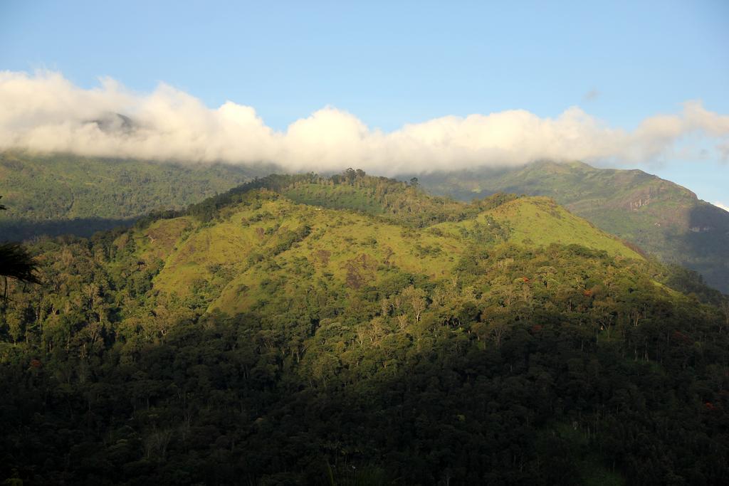 Hotel Ecotones Munnar By Eden Environs Exterior foto