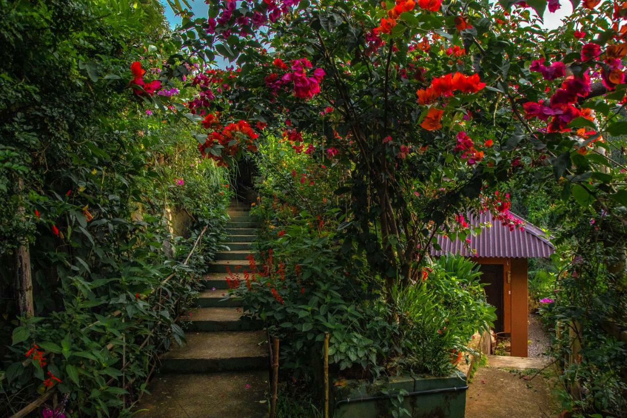 Hotel Ecotones Munnar By Eden Environs Exterior foto