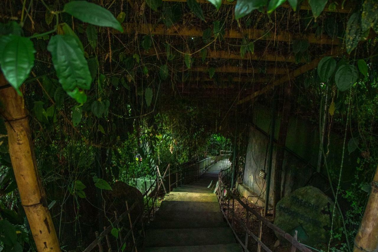 Hotel Ecotones Munnar By Eden Environs Exterior foto