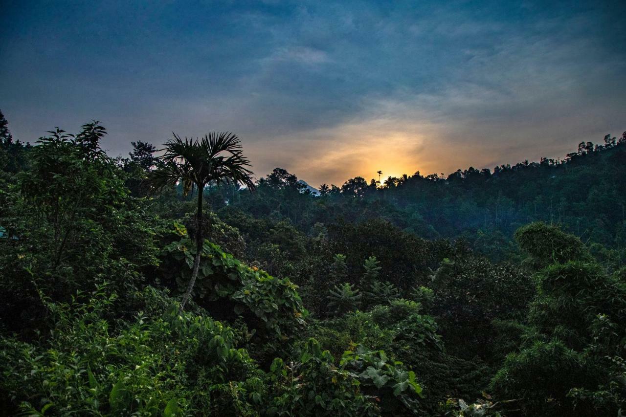 Hotel Ecotones Munnar By Eden Environs Exterior foto